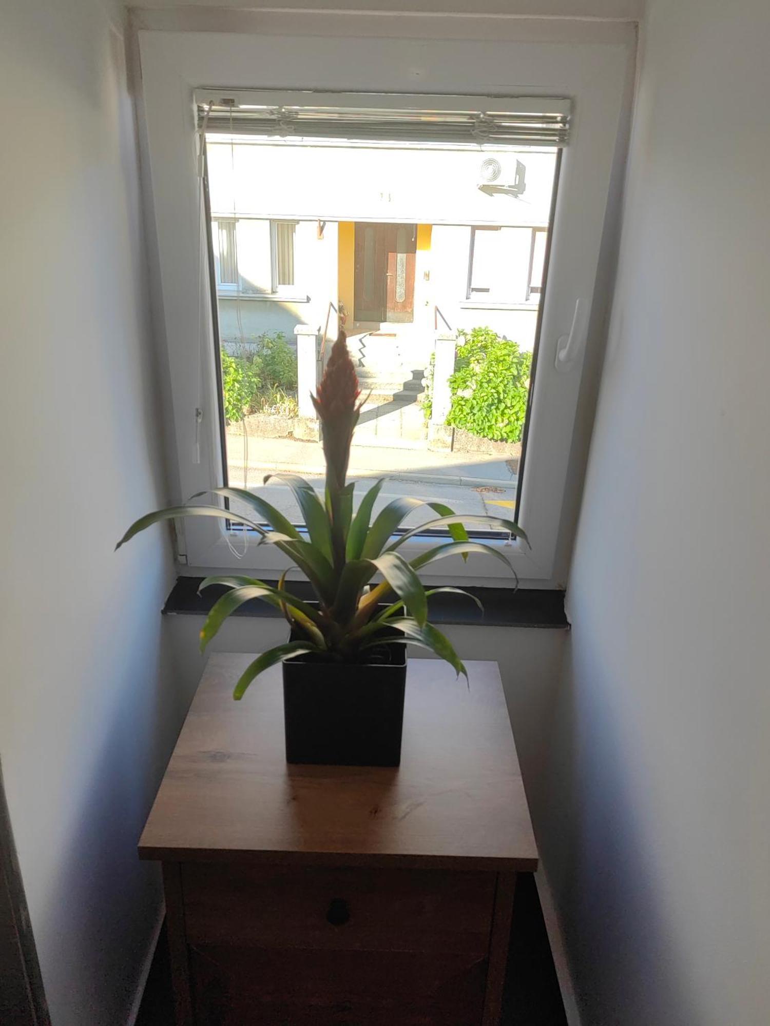 Ferienwohnung Sana Postojna Exterior foto